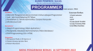 HIRING PROGRAMMER